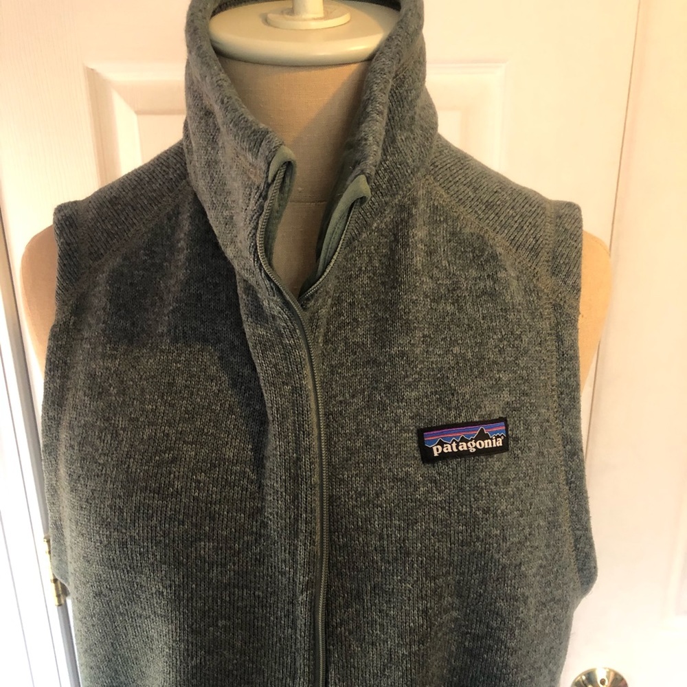 Patagonia vest - better sweater